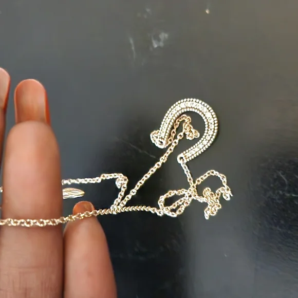 Judith Ripka 18inch Horseshoe Necklace - Picture 11 of 16